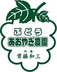 岡山県産ぶどう ニューピオーネ