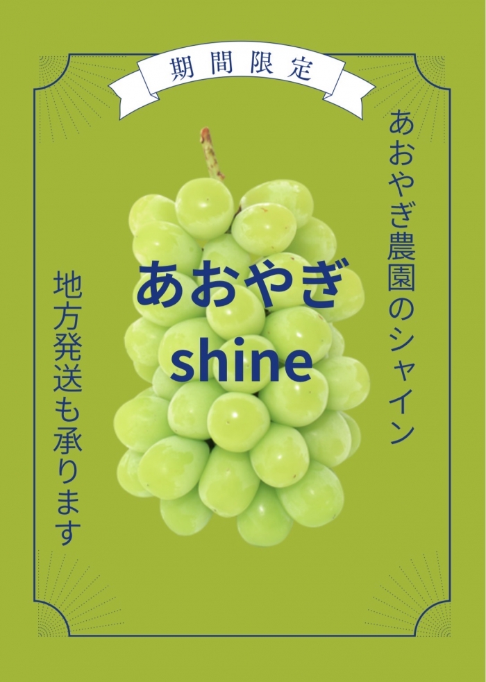 ご予約販売スタート