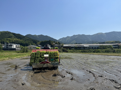 お米の販売