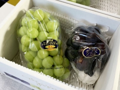 予約・注文 | あおやぎ農園 | 岡山県産コシヒカリ「ハレバレ米